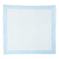 Disposable Underpad Protection Plus® 23 x 24 Inch Fluff Light Absorbency MSC281225 Case of 200 MSC281225 Protection Plus® 560976_CS