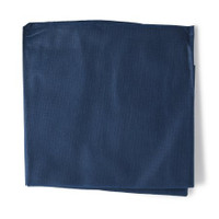 Stretcher Sheet Graham Medical® Flat Sheet 40 X 84 Inch Blue Nonwoven Fabric Disposable 65232 Case/50