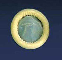 Ultrasound Probe Cover Ultra Cover™ 2 x 7-1/10 Inch Latex NonSterile For use with Ultrasound Probe 30-00 Case of 1200 30-00 Ultra Cover™ 211078_CS