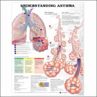 Chart Understanding Asthma 20 x 26 Inch Paper Laminated 9781587799389 Pack of 1 9781587799389 Wolter Kluwer Health Inc 780784_EA