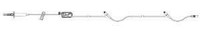 Plum Set Prim N/DEHP 2CLV 50/CS HOSICU 1424328 Case/50 1424328 HOSPIRA WORLDWIDE INC 801995_CS