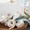 Medical Tape Kendall™ Standard Porous White 1 Inch x 10 Yard Cloth NonSterile 2531C Box of 12 2531C Kendall™ Standard Porous 742655_BX