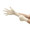 Exam Glove Diamond Grip Plus X-Small NonSterile Latex Standard Cuff Length Fully Textured White Not Chemo Approved DGP-350-XS Box/100 UWBMD MICROFLEX MEDICAL 508807_BX