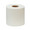Toilet Tissue ScottEssential White 2-Ply Standard Size Cored Roll 550 Sheets 4 X 4-1/10 Inch 04460 Roll/1 2186 Kimberly Clark 509038_RL
