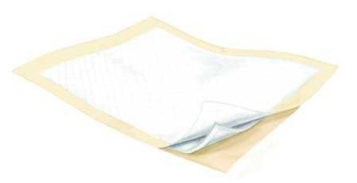 Underpad Wings Plus 30 X 30 Inch Disposable Fluff / Polymer Heavy Absorbency 9173 Bag/10 9173 KENDALL HEALTHCARE PROD INC. 854097_BG