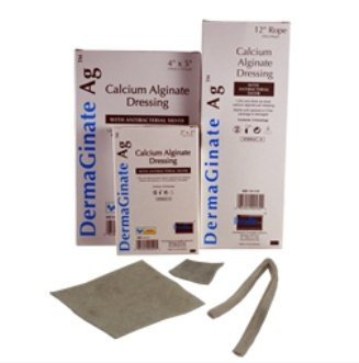 DermaGinate/ Ag Silver Alginate Dressing 2 X 2 Inch Square Sterile, 00520E, Pack of 1