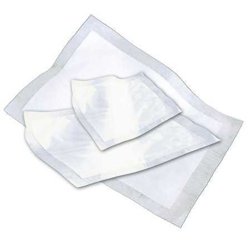 Absorbent Table Pad Tranquility ThinLiner 6 X 10 Inch For Procedure Tables 3190 Pack/10 PRINCIPAL BUSINESS ENT., INC. 1088581_PK