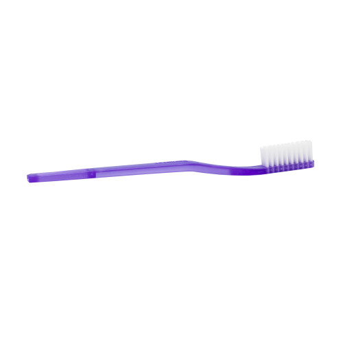 Toothbrush DawnMist Translucent Purple Adult Soft TB40 Case of 1440