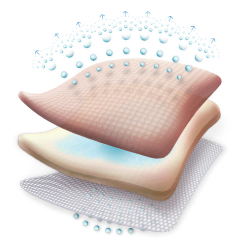 Allevyn Gentle Border Foam Dressing 4 X 4 Inch With Border Film Backing Silicone Gel Adhesive Square Sterile, 66800270, Case of 100