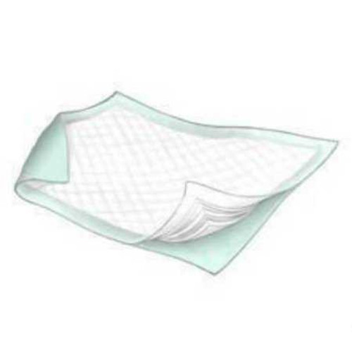 Underpad Economy 23 X 36 Inch Disposable Polymer Heavy Absorbency 18346 Bag/25 7561433 Griffin Care 462833_BG
