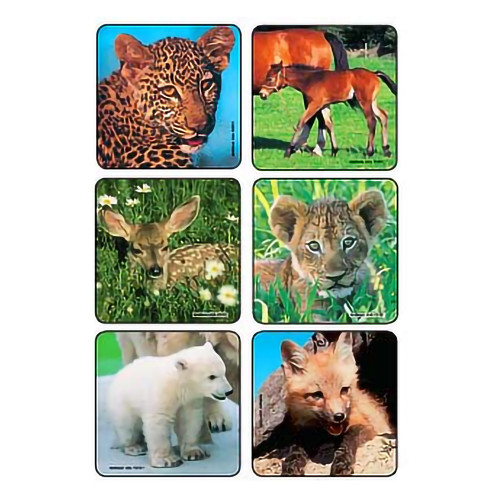 Kids Love Stickers 90 per Pack Baby Animal Photos, Assorted Sticker 2-1/2 Inch 2001P Pack of 90