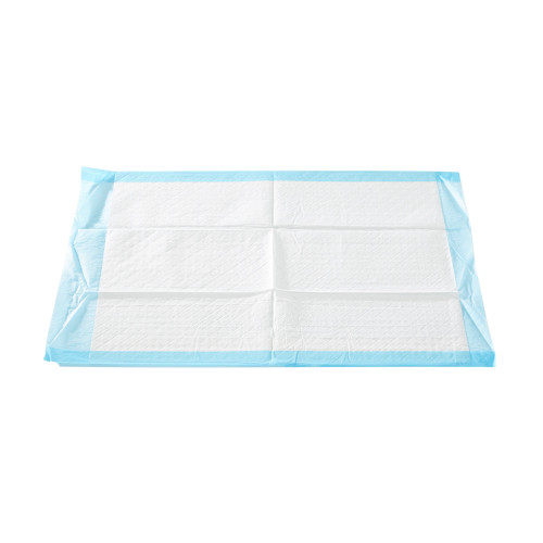 McKesson Procedure Underpad 23 W X 24 L Inch Blue NonSterile, 16-16652, Case of 200