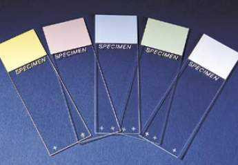 Charged Microscope Slide Superfrost® Plus 25 x 75 mm Frosted End 4951PLUS-001 Case of 1440 4951PLUS-001 Superfrost® Plus 486293_CS