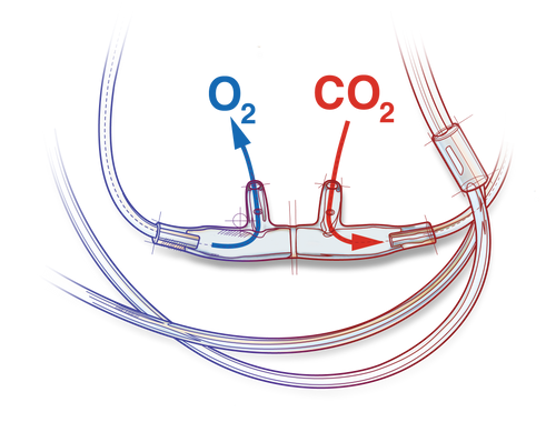 Salter-Style ETCO2 Nasal Cannula Adult Curved Prong / NonFlared Tip 7 Foot Tubing, 4707F-7-7-25, Case of 25