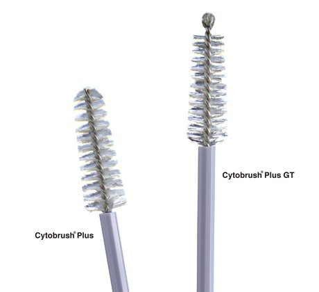Cytobrush Plus GT Cytology Brush 196 mm Length C0305 Bag of 100