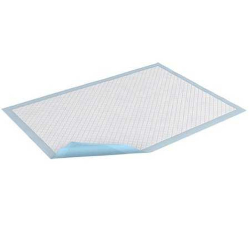Disposable Underpad TENA® Large 30 x 30 Inch Light Absorbency 61320 Pack of 15 61320 TENA® Large 1220809_PK