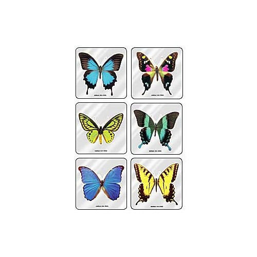 MiniBadges 75 per Roll Foil Butterflies Sticker 2-1/2 Inch 2685 Roll of 90