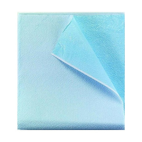 Stretcher Sheet Tidi Everyday Flat Sheet 40 x 72 Inch Blue Tissue / Polyethylene Film Disposable 980925 Case of 50