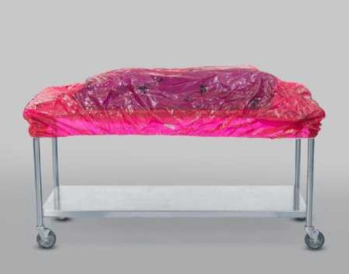 Containment Table Cover Tidishield® Transport 67 x 52 Inch Back Table 5540 Case of 20 5540 Tidishield® Transport 1032345_CS
