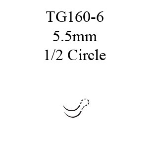 Nonabsorbable Suture with Needle Ethilon Nylon TG160-6 1/2 Circle Spatula Needle Size 10 - 0 Monofilament 7756G Box of 12