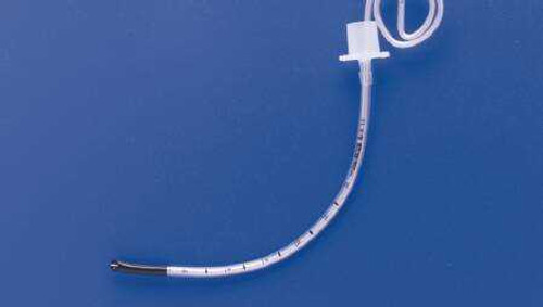 Uncuffed Endotracheal Tube Safety Clear™ 280 mm Length Curved 6.0 mm Adult Murphy Eye 100382060 Pack of 1 100382060 Safety Clear™ 144483_EA