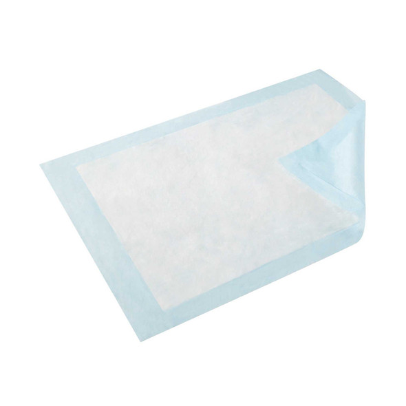 Underpad TENA Extra 23 X 36 Inch Disposable Fluff Heavy Absorbency 355 BG/25 355 SCA PERSONAL CARE 465698_BG