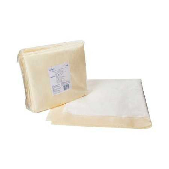 Underpad TENA 36 X 36 Inch Disposable Fluff Heavy Absorbency 361 BG/10 361 SCA PERSONAL CARE 765337_BG