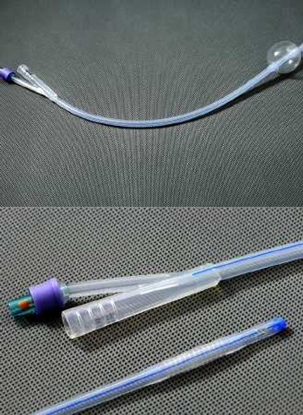 Foley Catheter AMSure 2-Way Standard Tip 5 cc Balloon 22 Fr. Silicone AS41022S Each/1 AS41022S AMSINO INTERNATIONAL INC 787850_EA