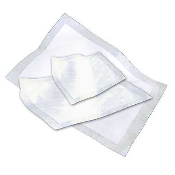 SHEET LINER ABSORB 6"X14" 10/PK 20PK/CS PBE 3191 Case/200 PRINCIPAL BUSINESS ENT., INC. 1090692_CS