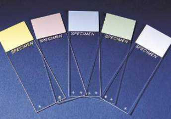 Charged Microscope Slide Superfrost® Plus 25 x 75 mm Frosted End 4951PLUS-001 Case of 1440 4951PLUS-001 Superfrost® Plus 486293_CS