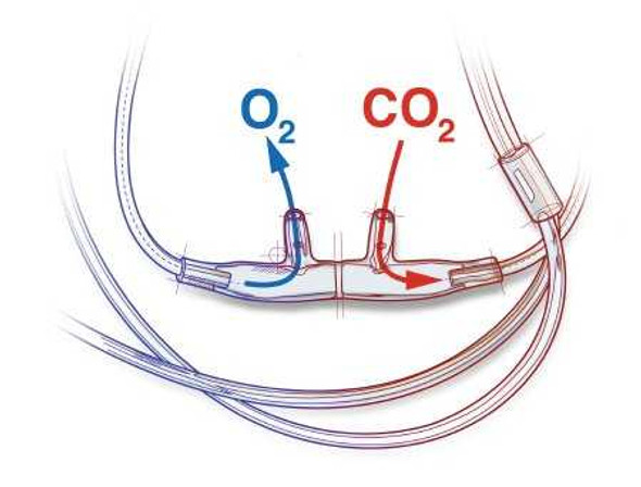 ETCO2 Nasal Sampling Cannula with O2 Delivery With Oxygen Delivery Salter-Style® Adult Curved Prong / NonFlared Tip 4707F-7-7-25 Case of 25 4707F-7-7-25 Salter-Style® 442401_CS