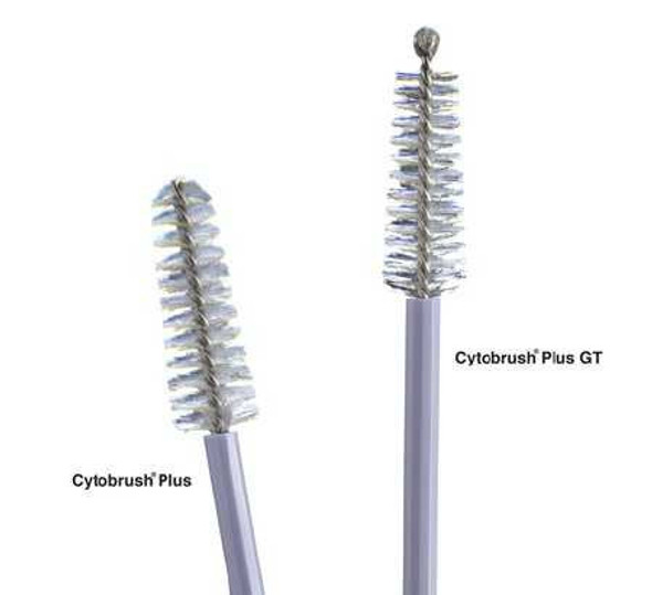 Cytobrush® Plus GT Cytology Brush 196 mm Length C0305 Bag of 100 C0305 Cytobrush® Plus GT 705600_BG
