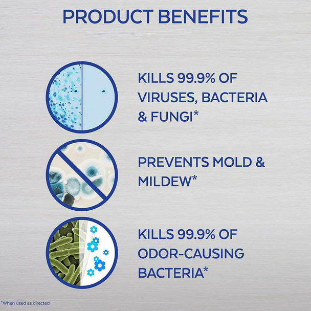 Surface Disinfectant Lysol I.C. Liquid 19 oz. Can Aerosol Spray Characteristic Scent 36241-95029 Case/12 36241-95029 SAALFELD REDISTRIBUTION 582144_CS