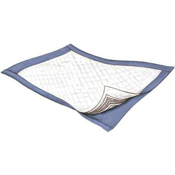 Underpad Passport 22 X 35 Inch Disposable Polymer Moderate Absorbency 1832-60 BG/30 1832-60 GRIFFIN CARE LLC 880781_BG