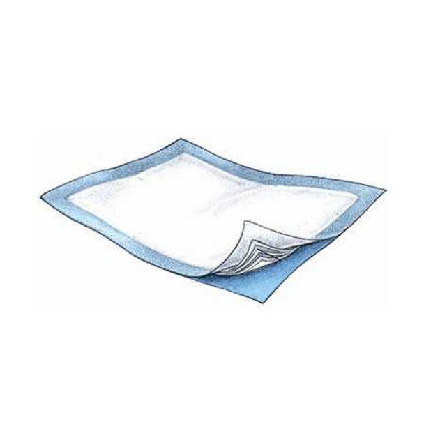 Underpad Passport 30 X 36 Inch Disposable Polymer Heavy Absorbency 1305 Case/100 - 13053109 1305 GRIFFIN CARE LLC 881302_CS