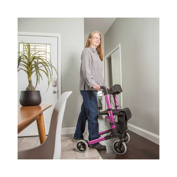 ROLLATOR EURO TITANIUM EA MABIS 501-5012-4100 Each/1 DMS HOLDINGS, INC. 1095353_EA