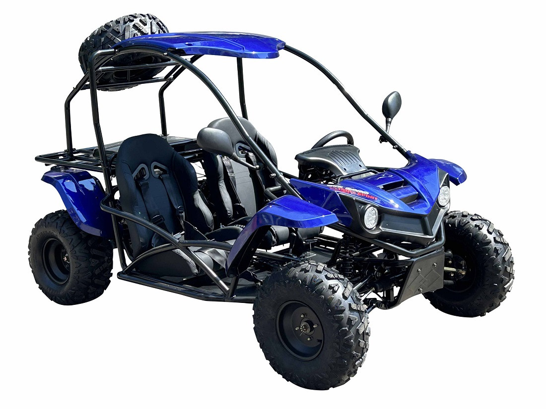 Vitacci T-Rex 150Cc Go Kart For Sale | Taoatv