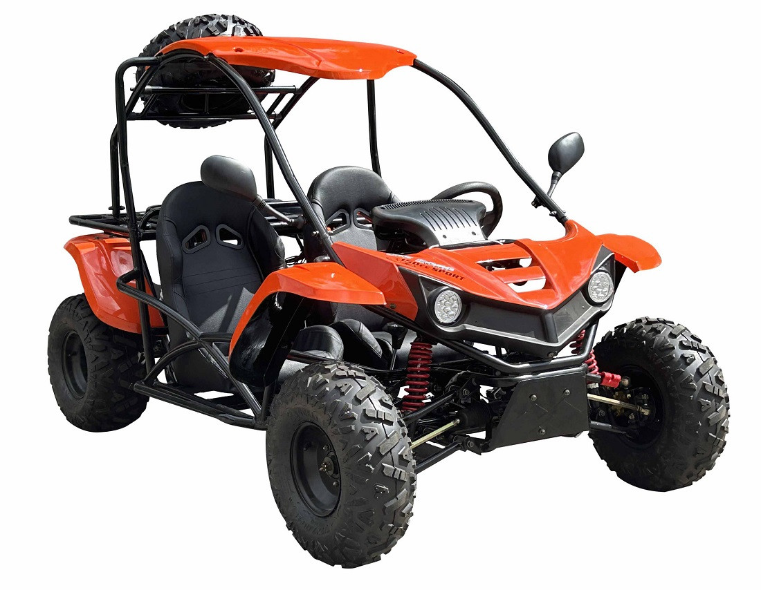 Vitacci T-Rex 150Cc Go Kart For Sale | Taoatv