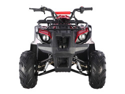 SMALL ATV 110CC D1 (ATV 110CC W/ REAR AND FRONT RACK REMOTE KILL AND START & MORE)