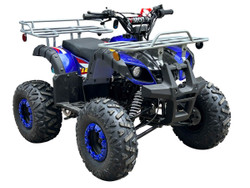 300cc 4WD 2x4 ATV Tao Tao Utilily