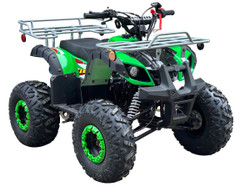 300cc 4WD 2x4 ATV Tao Tao Utilily