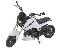 ICE BEAR FUERZA 125CC AIR COOLED, 4 SPEED (PMZ125-1) MOTORCYCLE