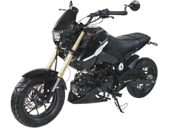 ICE BEAR FUERZA 125CC AIR COOLED, 4 SPEED (PMZ125-1) MOTORCYCLE