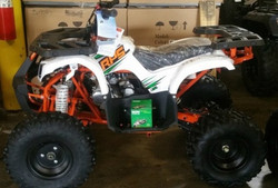 RPS 125CC  ATV, AUTO WITH REVERSE