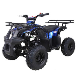 Taotao ATA 125D ATV 107CC, Air Cooled, 4-Stroke, 1-Cylinder, Automatic,- Fully Assembled and Tested