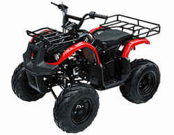 TAO MOTOR MID SIZE ATV 135D