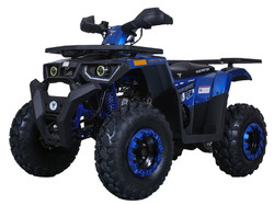 TaoTao G200 Utility ATV, Air Cooled, 4-Stroke, 1-Cylinder, Automatic