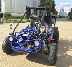 TrailMaster 200E XRS EFI Go Kart, 168.9cc Fully Automatic, Electric Start, Kill Switch