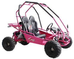 ACE 125 Kids Go Kart, Electric Start, Automatic with Reverse