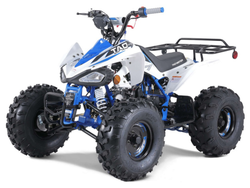 Taotao 125Cc Cheetah G125 Atv, Air-Cooled, 4-Stroke, Single-Cylinder